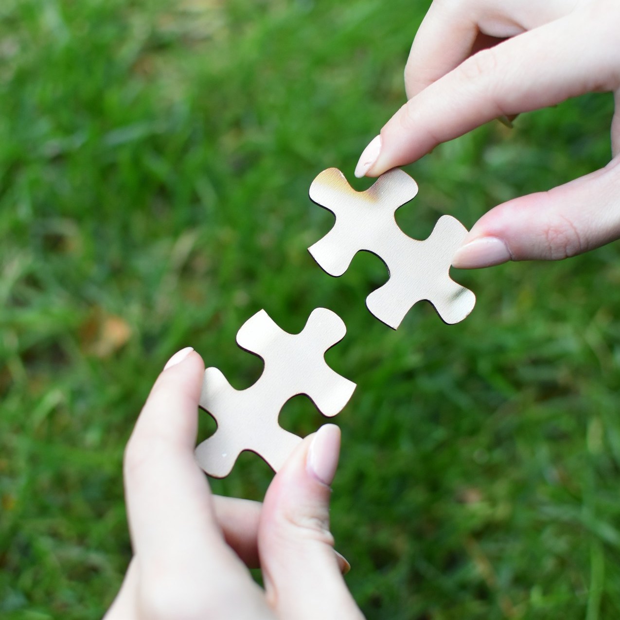 terapia de integracion